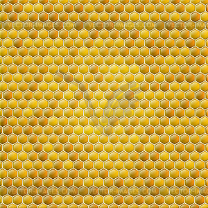 Honey combs background - vector image