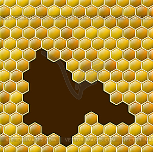 Honey combs background - vector image