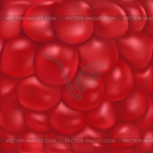 Raspberry texture - vector image