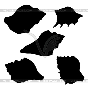 Silhouettes of Seashells - vector clipart