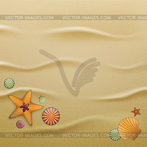 Seashells on sand, background - vector clip art