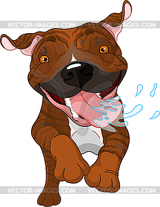 Excited brindle Pit Bull Dog - vector clip art