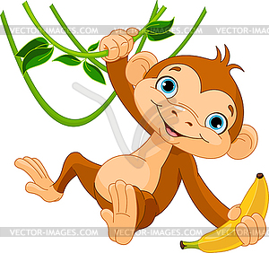 Baby monkey on tree - color vector clipart