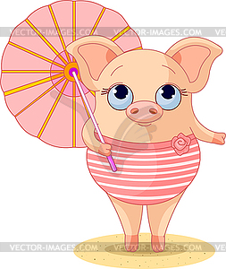 Pig on beach - vector image