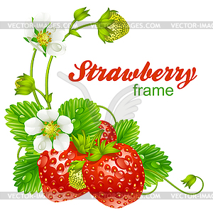 Strawberry. Red berry and white flowers - vector clip art