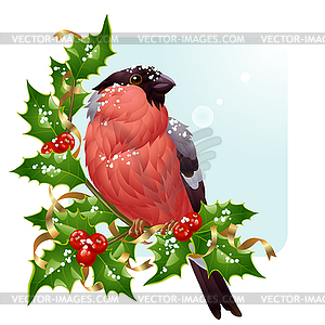 Bullfinch and holly - vector image