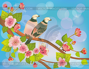 Sakura , bird . postcard . - vector clipart