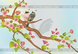 Sakura , bird . postcard . - vector image