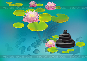 Lily blooming in the Japanese garden . postcard . - vector clipart