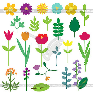 Decorative flowers and leaves collection - vector clip art