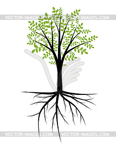 Абстрактные декоративное дерево с листвой и корнями - векторное изображение клипарта