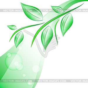 Branch with leaves - vector clipart