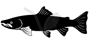 Silhouette of salmon - vector clipart