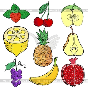 Set of fruits - stock vector clipart