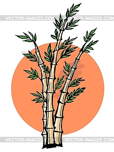 Bamboo - vector clip art