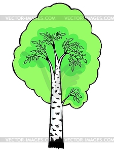 Cartoon birch - vector clip art