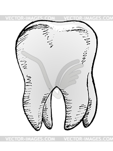 Tooth, image - vector image