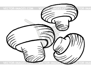 Champignons - vector clipart