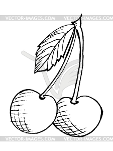 Cherries - vector image