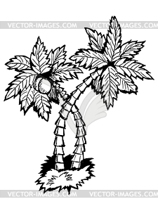 Palm tree - vector clipart