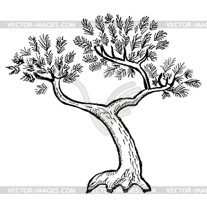 Cartoon pine - vector clip art