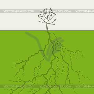 Tree with root - vector image