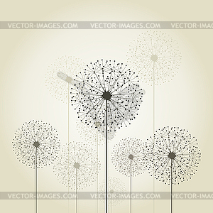 Flower dandelion - vector image