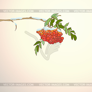 Background with rowan branch - vector clipart