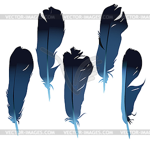 Feathers set - vector EPS clipart