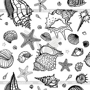 Sea background with shells - white & black vector clipart