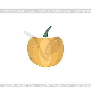 Pumpkin - vector clipart