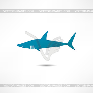 Shark - vector clipart