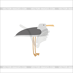 Seagull - vector clip art