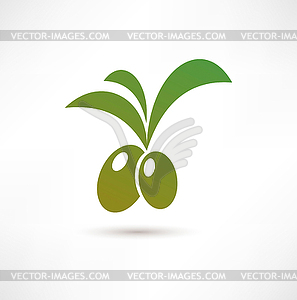 Olive icon - royalty-free vector clipart