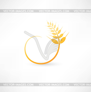 Wheat ears icon - vector clip art