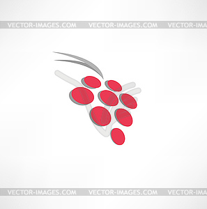 Wine Grape - vector image