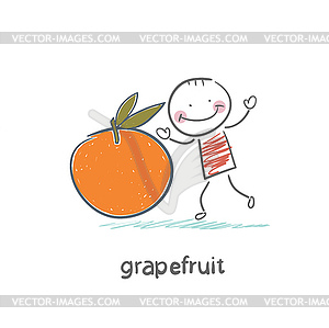Grapefruit - vector clipart
