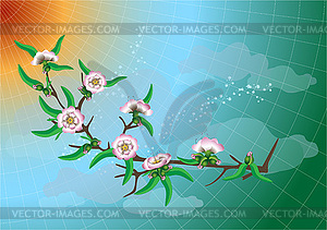 Branch of peach blossom against the sky - royalty-free vector image