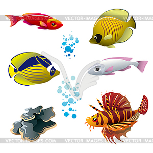 Tropical fishes - vector clip art