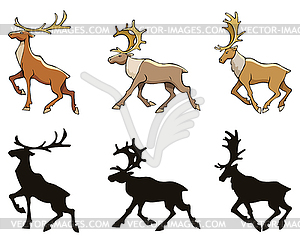 Reindeer - vector clipart