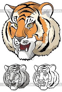 Tiger face - vector clip art