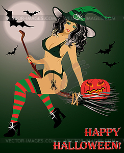 Halloween  witch flying on a broom ,  - vector clip art