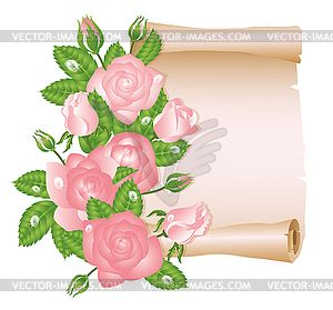 Love card with rose and old paper scroll. vector - vector image