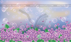 Spring banner. Cherry flowers on sky background - vector image
