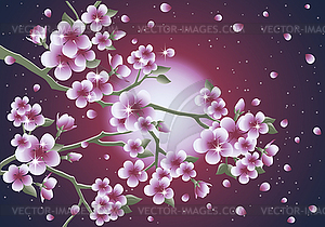 Sakura moon card - vector clipart