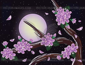 Sakura blossoms on night sky background - vector clipart