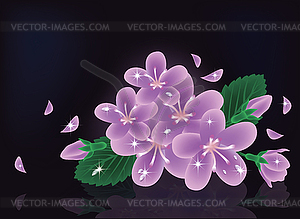 Sakura flowers card, vector illustration  - vector image