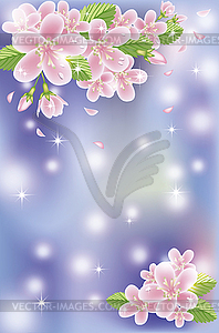 Spring sakura blossom banner, vector illustration - vector image