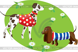 With dogs in clothes (Dalmatian and dachshund) - stock vector clipart