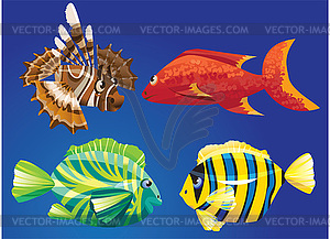 Red Sea Fishes - vector clip art